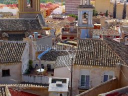 Mula Antigua serie-2